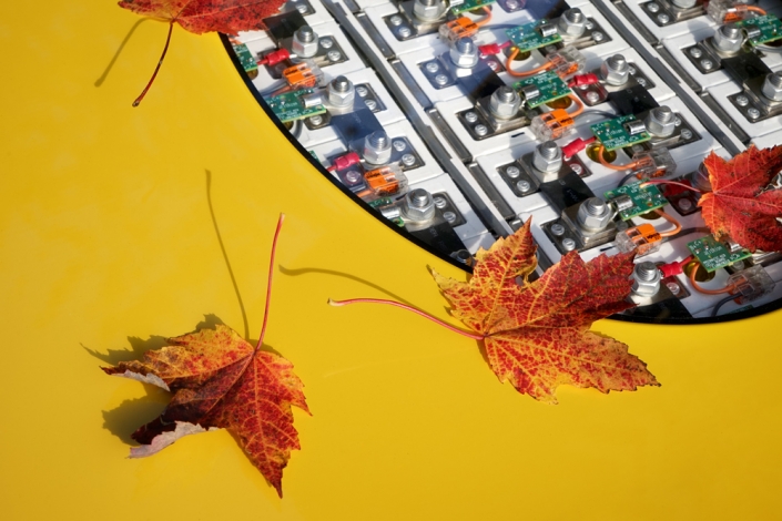 dinora_herbst2019_v3